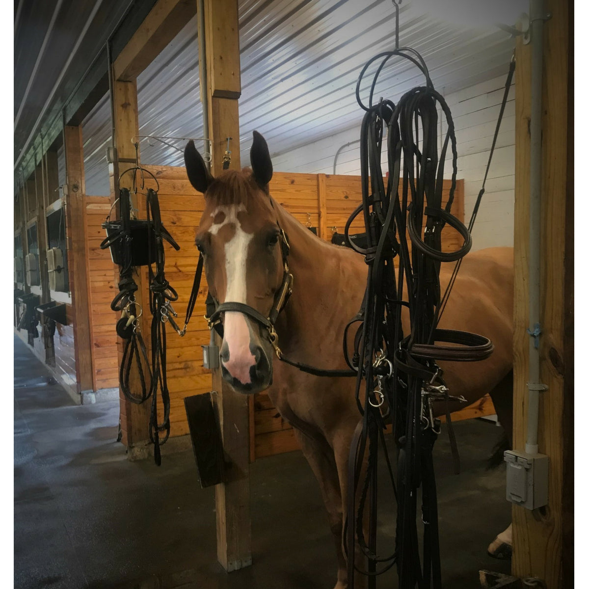 Triple Clover Products Utility Hook